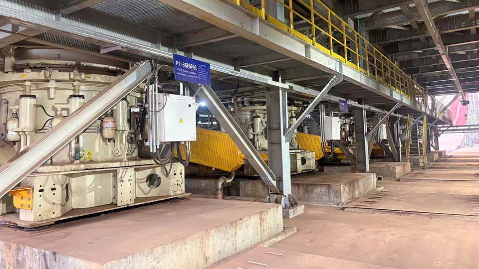 1768960661183921.jpg 20260120XM00-1.jpg